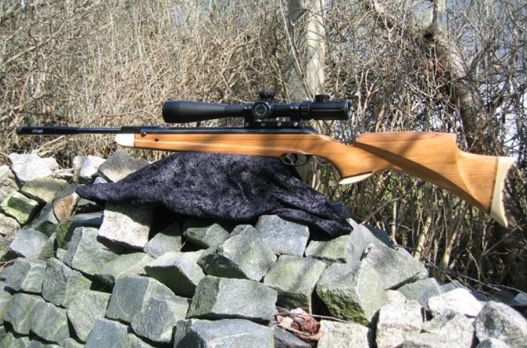 Best Break Barrel Air Rifle For Hunting Rabbits